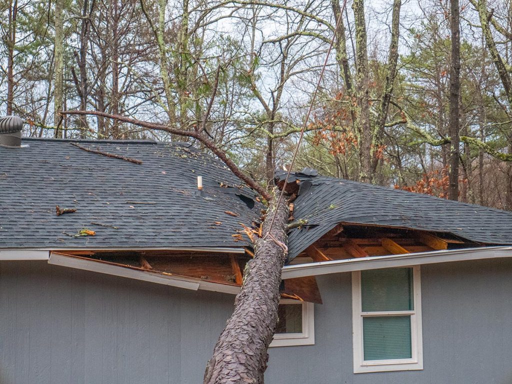 prepare your roof for a storm