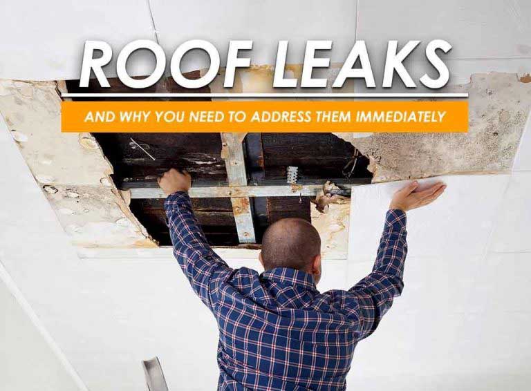 Roof Leaks and Why You Need to Address Them Immediately