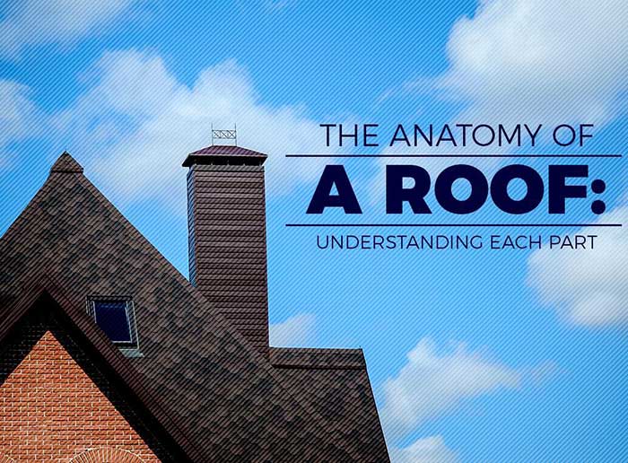 The Anatomy of a Roof: Understanding Each Part